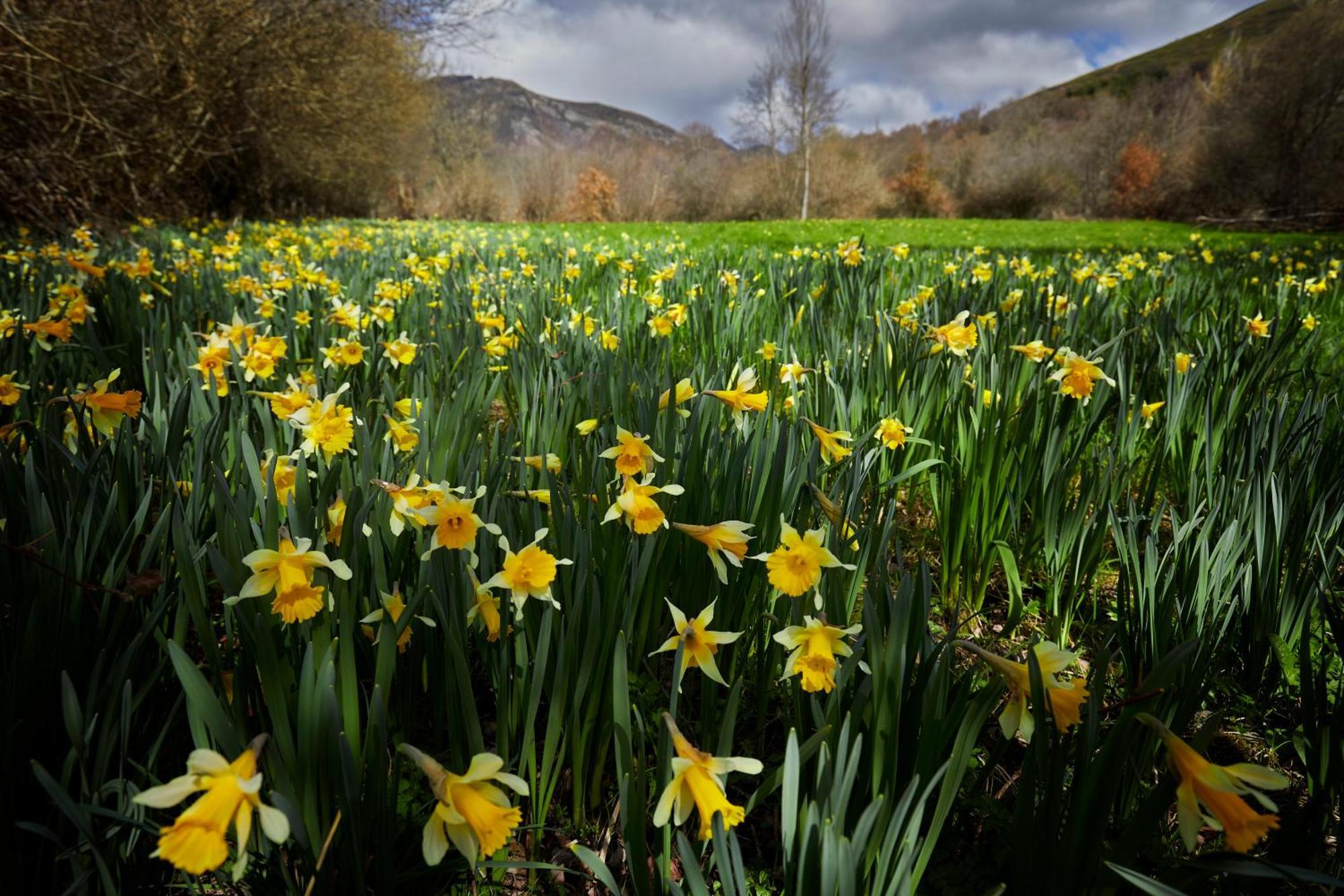 Casa Turismo Rural O Filandon Suertes Exteriér fotografie
